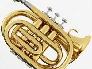 pocket trumpet 3D Model