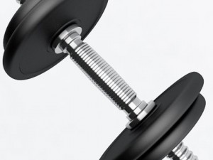dumbbell 3D मॉडल