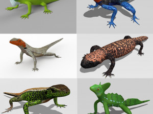 lizards bundle Modèle 3D