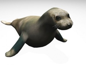 seal 3D Модель