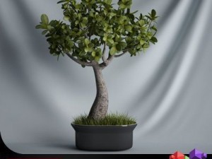 cgaxis plant 01 Modelo 3D