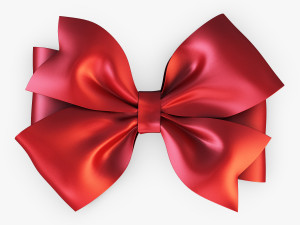bow v 2 3D Model
