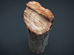 wood log 2 3Dモデル