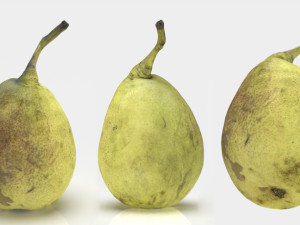 conference pear Modelo 3D