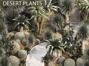 Collection of desert plants from Dracaena and Yucca Cactus 3Dモデル