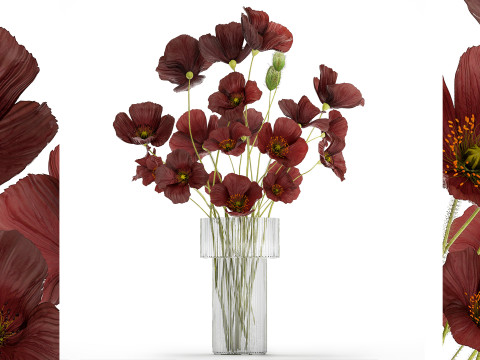 Beautiful bouquet of wild flowers in a vase with Poppy Modelo 3D