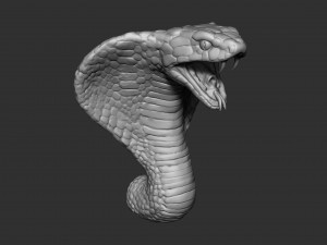 cobra head Modèle 3D