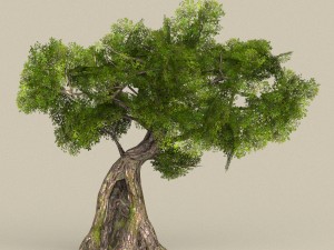 low poly tree 07 Modelo 3D