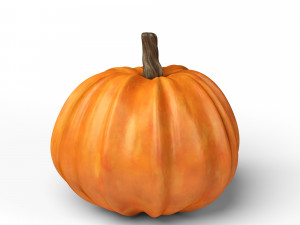 pumpkin 3D Модель