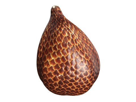 Salak Snake fruit Modelo 3D