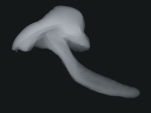 Smoke 4 Modello 3D