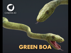 3d green boa model Modèle 3D