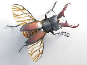 stag beetle pbr rigged low poly insect 3D Model
