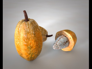 cocoa fruit Model 3D