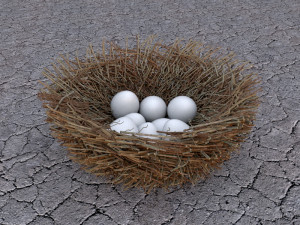 bird nest with eggs 3D Model