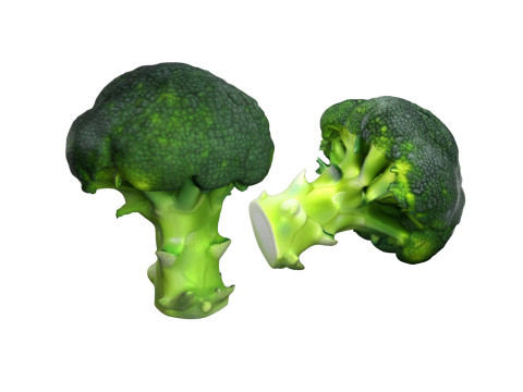 Broccoli scan 3D Модель