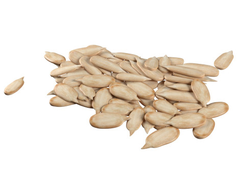 Sunflower seed pile v1 Modelo 3D
