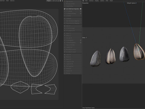 Sunflower seeds collection Modelo 3D