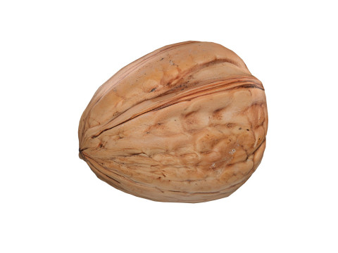 Walnut v1 Modelo 3D