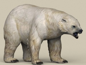 game ready polar bear 3D Model