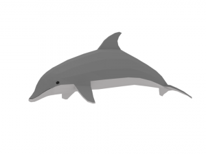low poly cartoon dolphin Modèle 3D