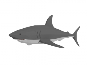 low poly cartoon shark 3D Model