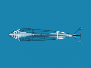low poly caroon orca killer whale 3D Модель