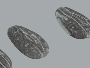 Sunflower Seeds Modelo 3D