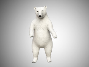 realistic high detailed rigged low poly white polar bear 3D Model