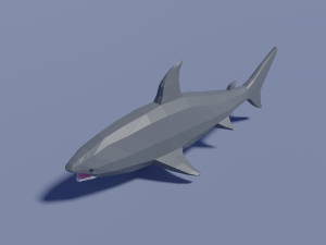 cartoon shark 3D Model