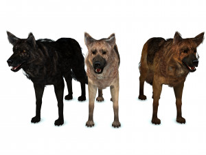 DOG German Shepherd DOG 3D Model