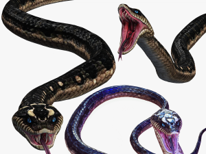 DOWNLOAD VIPER 3D MODEL - DINOSAUR - MYTHOLOGICAL - FIHS - PYTHON - REPTILE - SNAKE - ANIMATED - 3D Модель