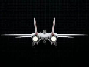 grumman f-14 tomcat Modelo 3D