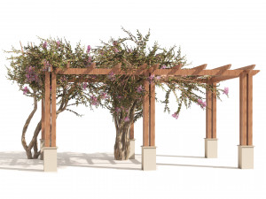 Crape myrtle pergola Modelo 3D