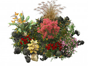 Spring Flower Collection Modelo 3D