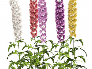 Colorful candle larkspur flowers 3Dモデル
