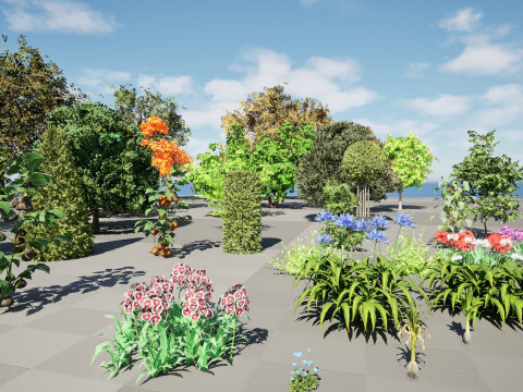 Flemish Plants Trees 3D Pack Modelo 3D