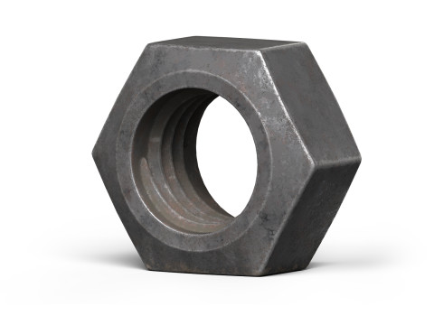 Old nut Modèle 3D