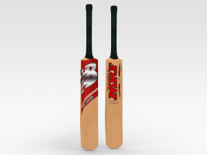 Cricket Bat 3D मॉडल