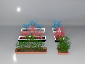 Pots with different colored plants 3D Model