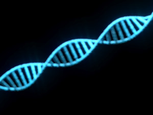 DNA Helix Modello 3D