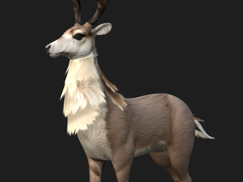 MooseA2 3Dモデル