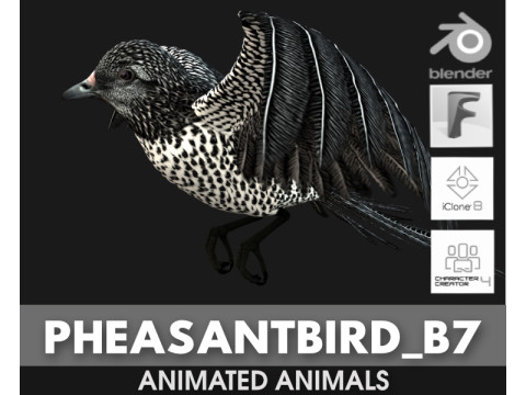 PheasantBirdB7 3Dモデル