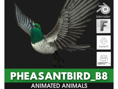 PheasantBirdB8 3Dモデル