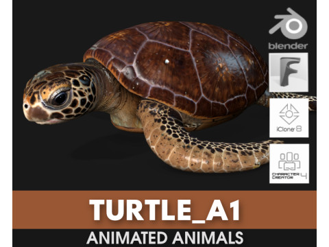TurtleA1 3D Model