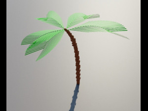 Beach palm tree 3D Model