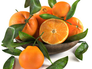 Bowl of oranges Modèle 3D