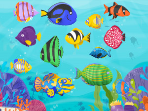 Fish Sea Collection 3 3D Model