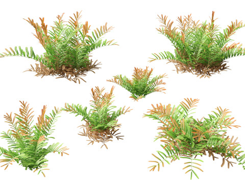 HighpolyLow Poly Acrostichum aureum - Golden leather fern 3Dモデル
