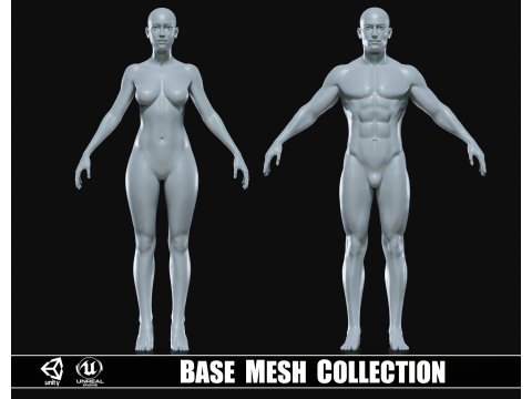 Realistic Athletic Human Body Base Mesh 3D-Modell